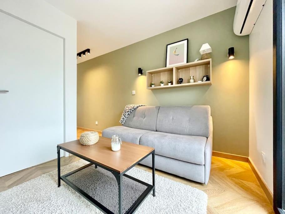 Apartament Le Flachet - Climatisation - Wifi Villeurbanne Zewnętrze zdjęcie